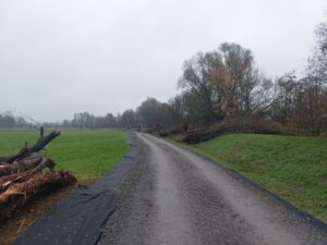 Herstellung der Baustraßen