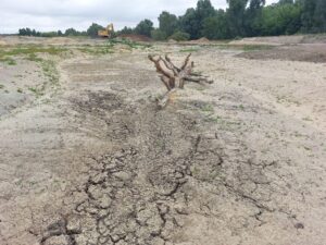 Die Trockenheit der letzten Monate ist dem künftigen Berkelbett anzusehen